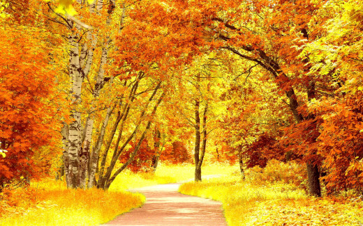 1098288 (a): :1920x1200